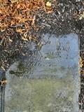 image of grave number 259594